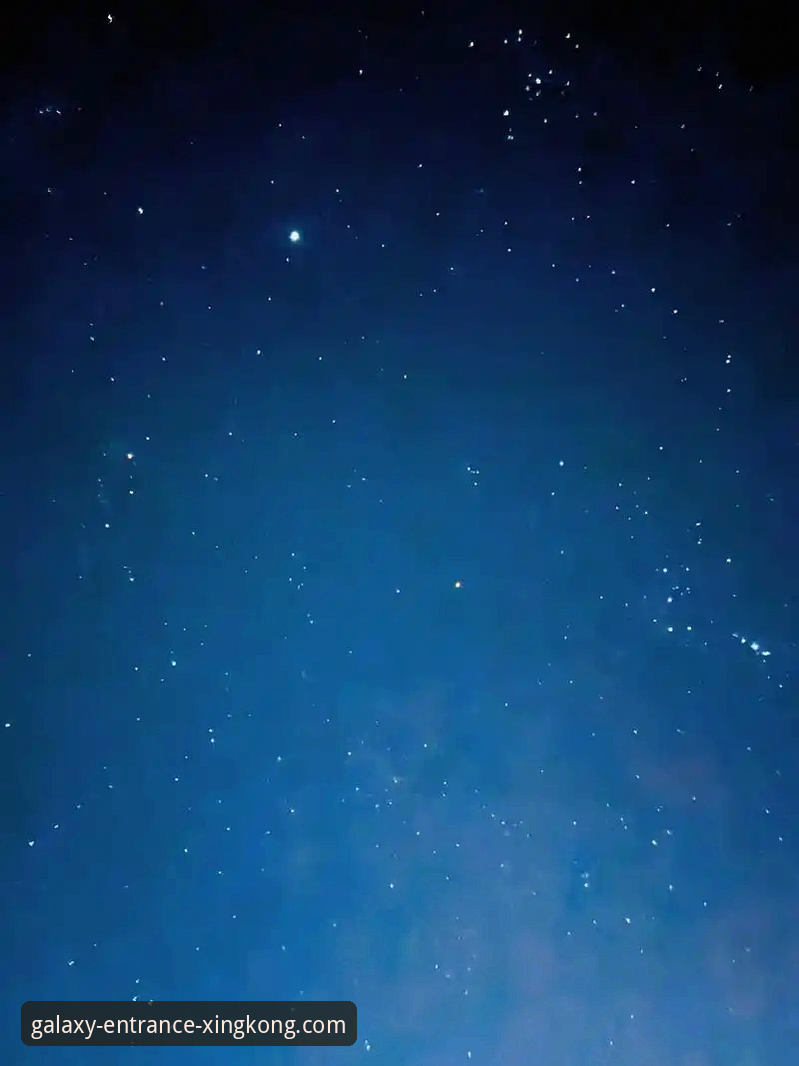 星空官网入口 vs. 第三方下载：哪个是获取星空娱乐平台功能详解的更优路径？